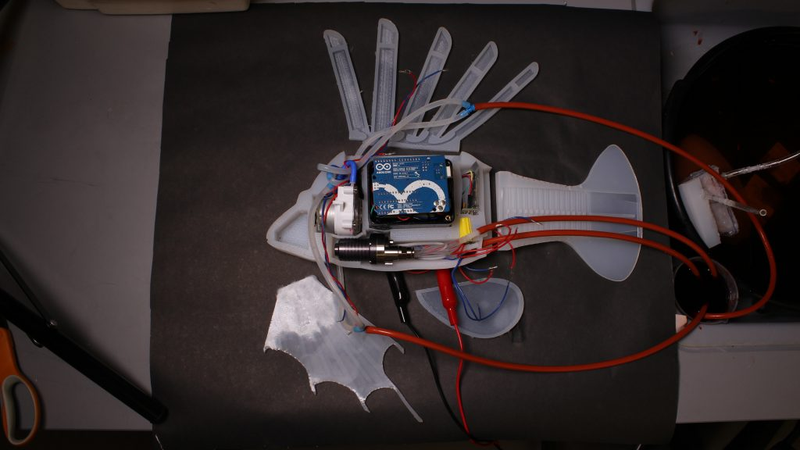 The interior components of the soft robotic fish.
